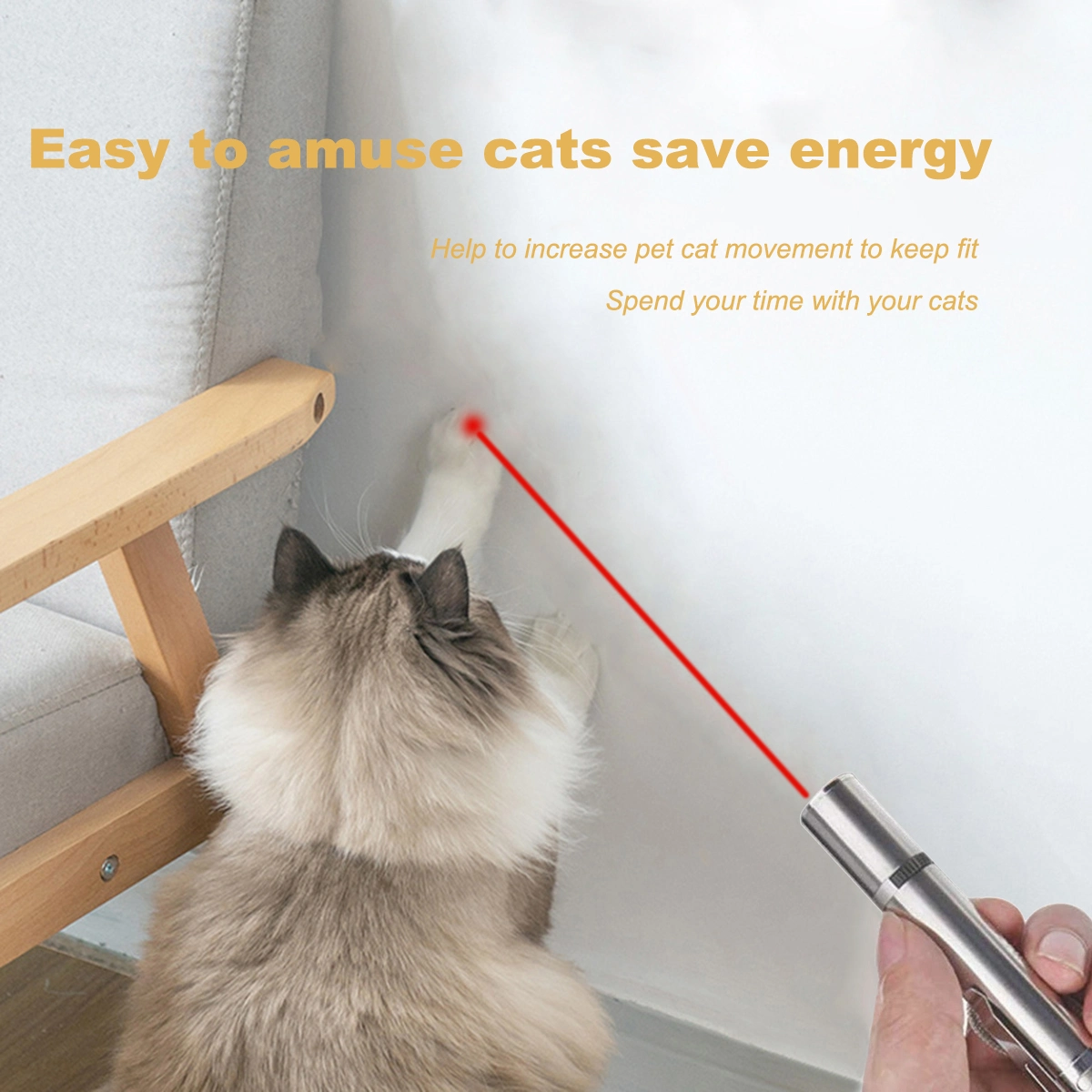 Pet Training Exercise Tool Cat Toys LED Pointer - Image 2